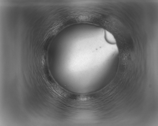 X0000052610746200507081846