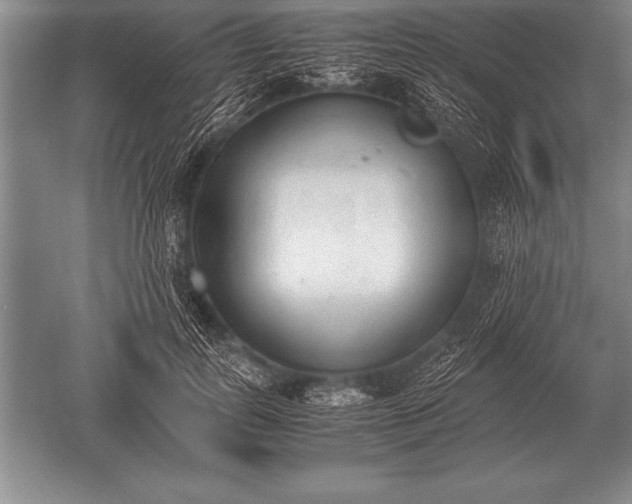 X0000052610747200507081846