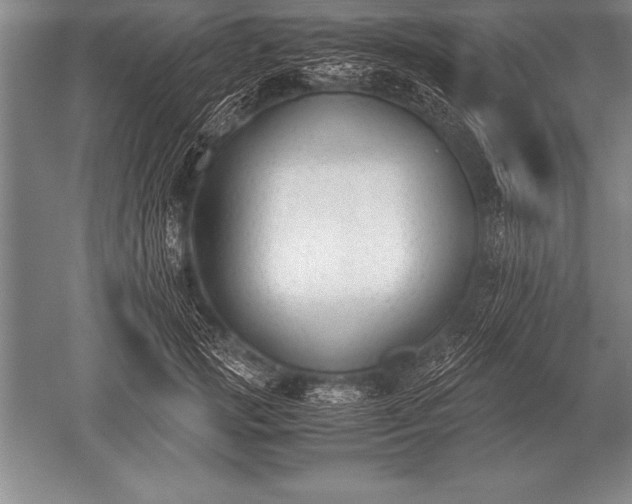 X0000052610749200507081846