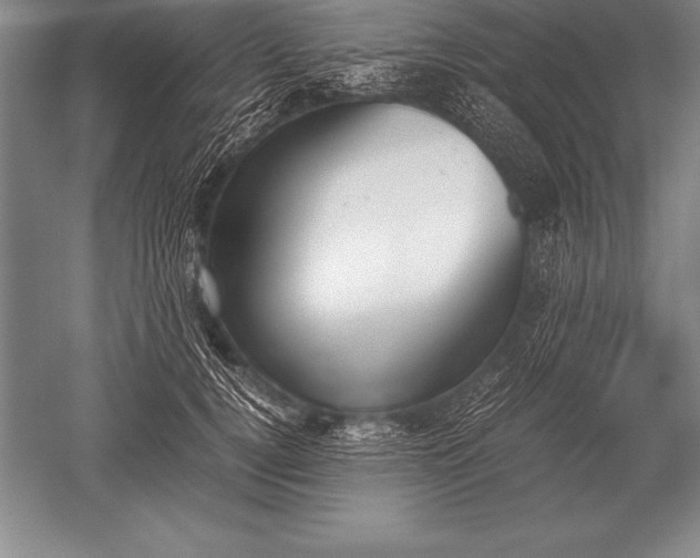 X0000052610752200507081846