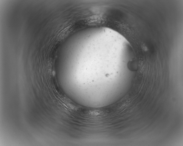 X0000052610753200507081846