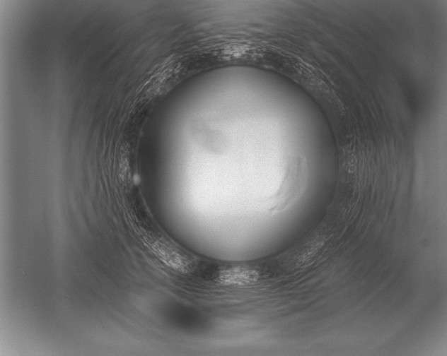 X0000052610754200507081846