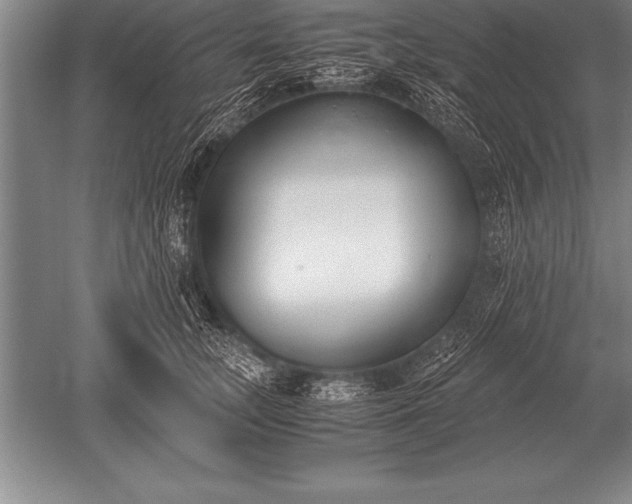 X0000052610755200507081846