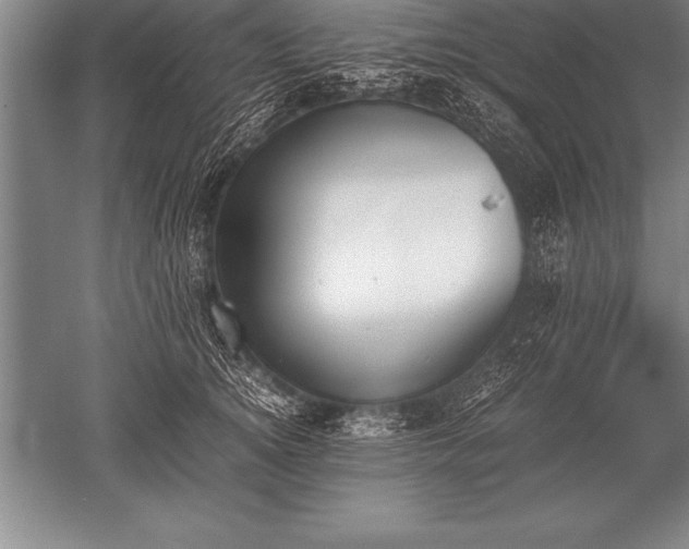 X0000052610756200507081846