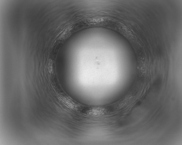 X0000052610758200507081846