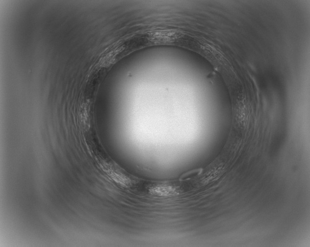 X0000052610759200507081846