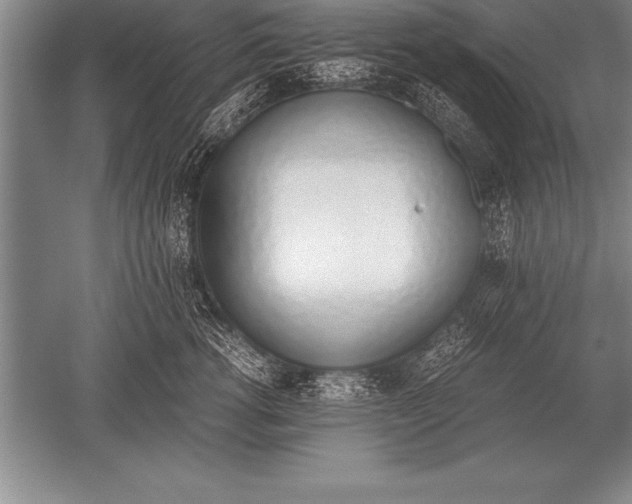 X0000052610762200507081846