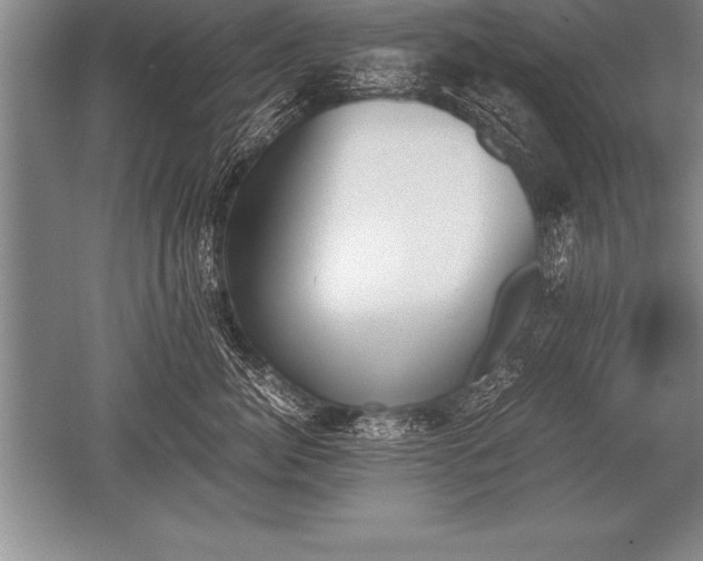 X0000052610764200507081846