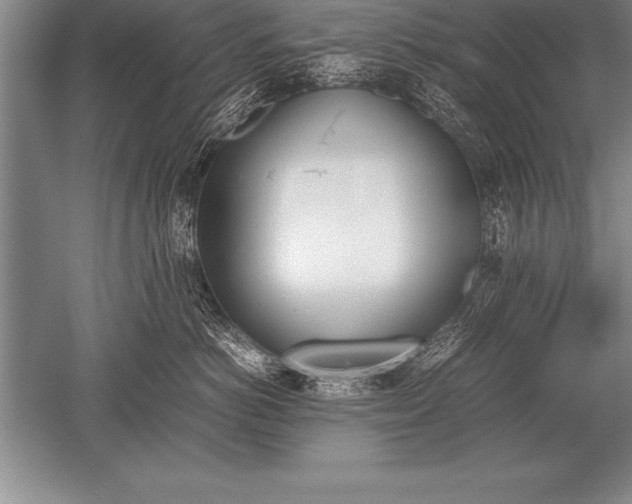 X0000052610766200507081846