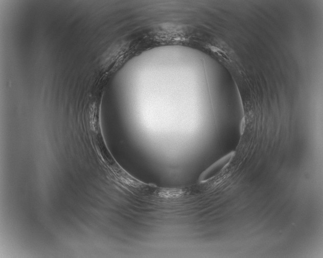 X0000052610767200507081846