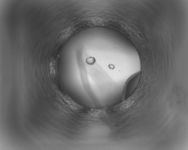 X0000052610768200507081846