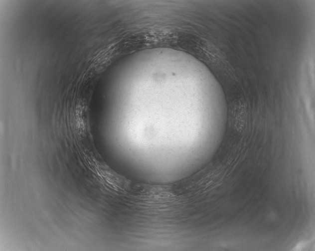 X0000052610770200507081845