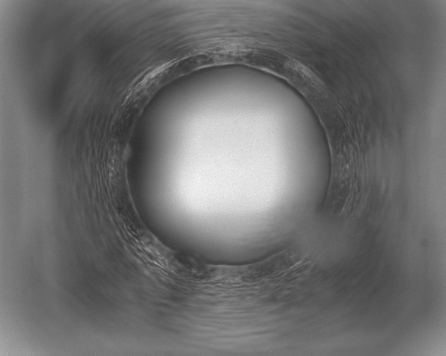 X0000052610773200507081845