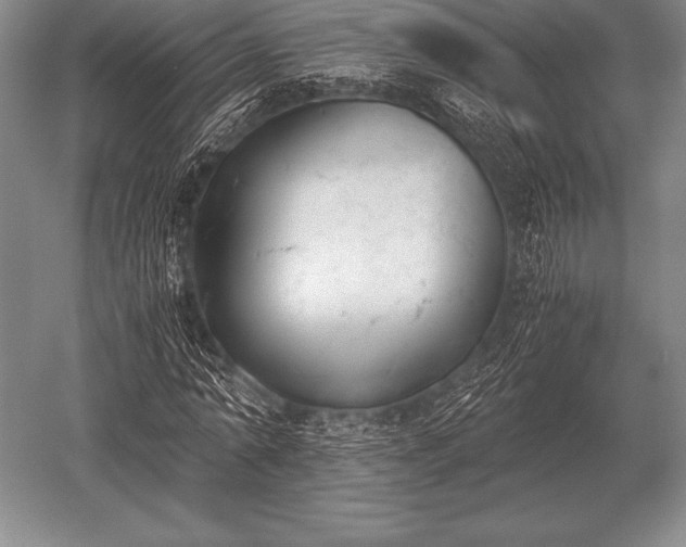 X0000052610774200507081845