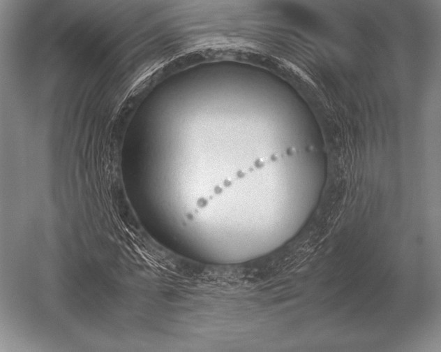 X0000052610775200507081845