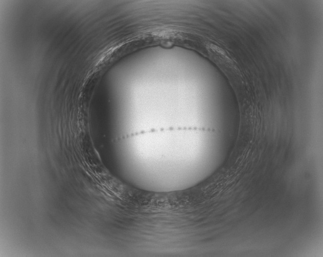 X0000052610776200507081845