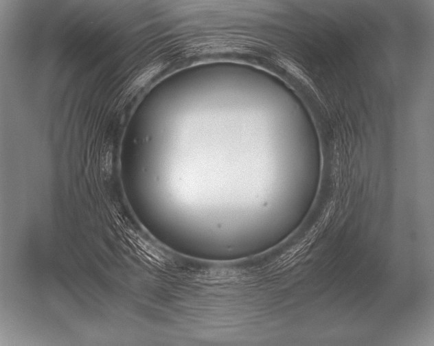 X0000052610777200507081845