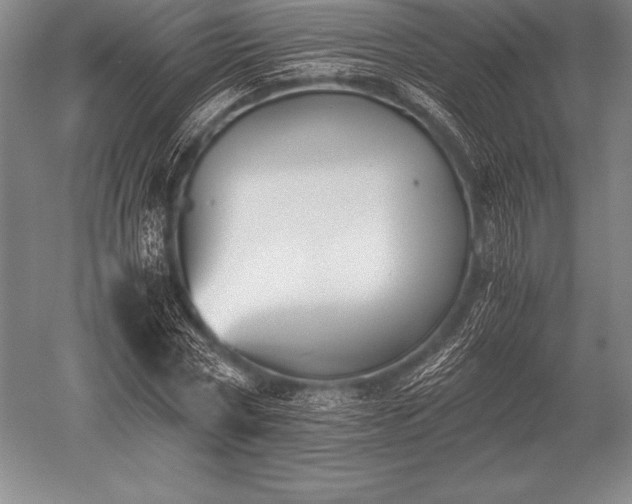 X0000052610778200507081845