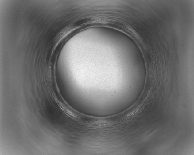 X0000052610779200507081845