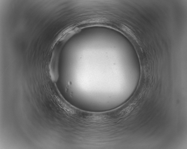 X0000052610781200507081845