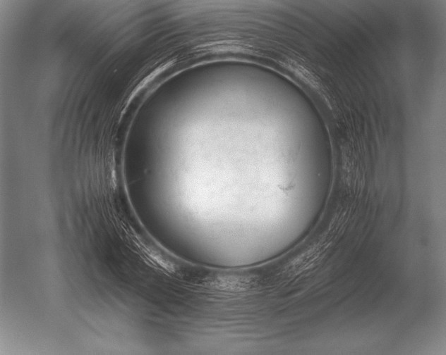 X0000052610782200507081845