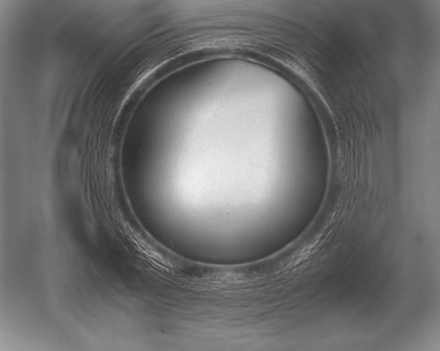 X0000052610783200507081845