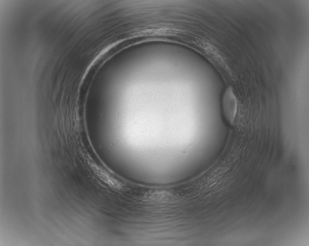 X0000052610784200507081845