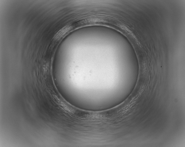 X0000052610785200507081845