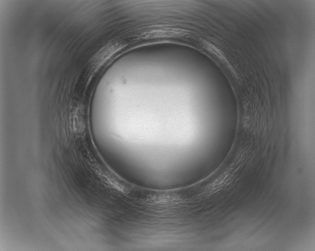 X0000052610786200507081845