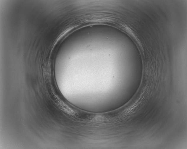 X0000052610787200507081845