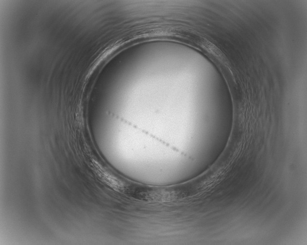 X0000052610789200507081845