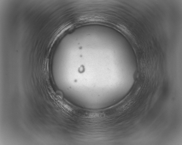 X0000052610790200507081845