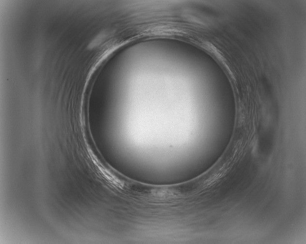 X0000052610795200507081845