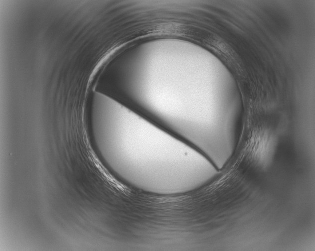 X0000052610796200507081845