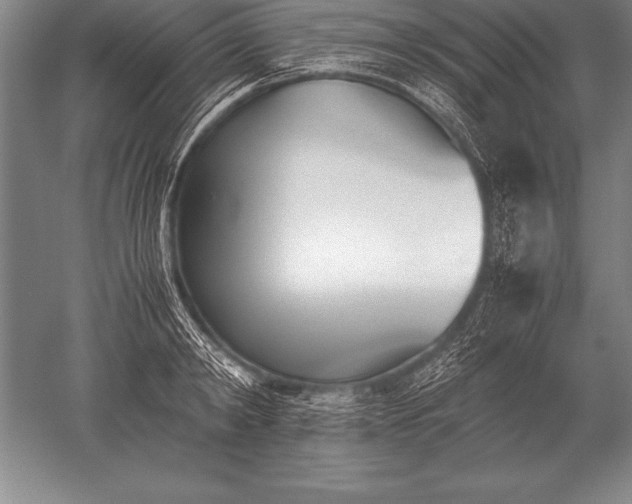 X0000052610798200507081845