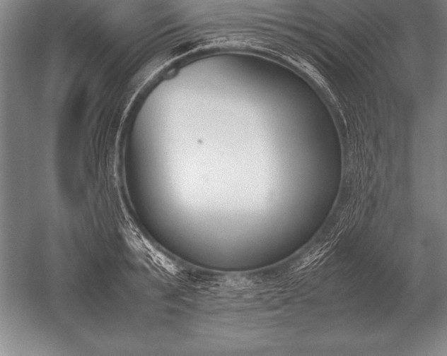 X0000052610799200507081845