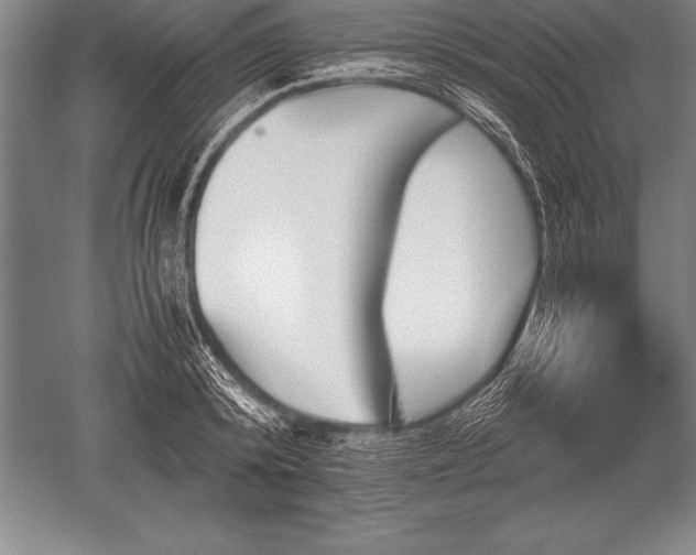 X0000052610800200507081845