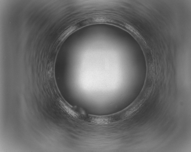 X0000052610801200507081845