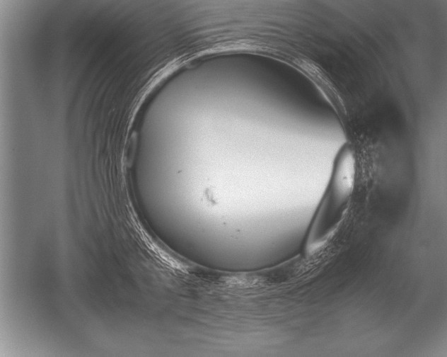 X0000052610805200507081845