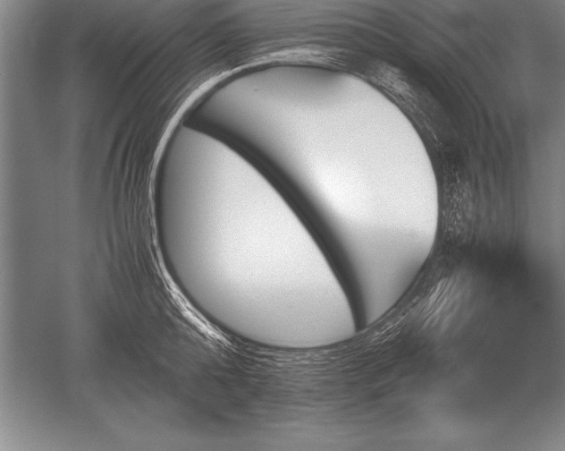 X0000052610808200507081845