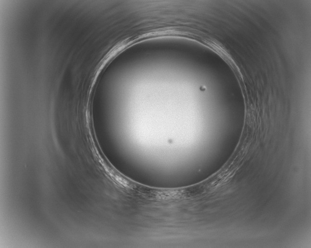 X0000052610813200507081845