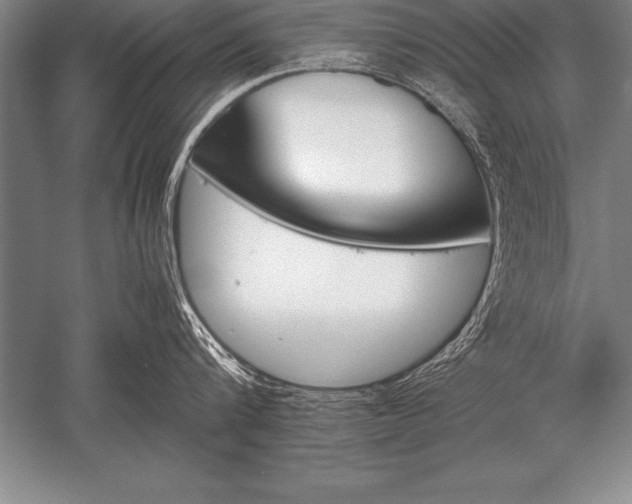 X0000052610816200507081845