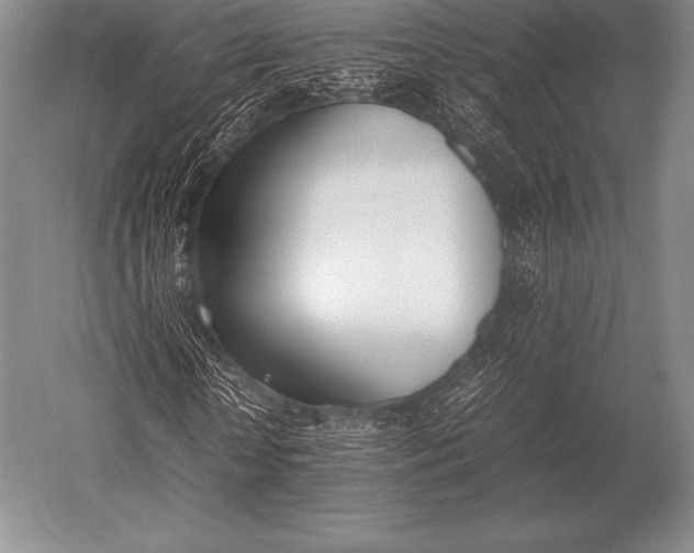 X0000052610818200507081844