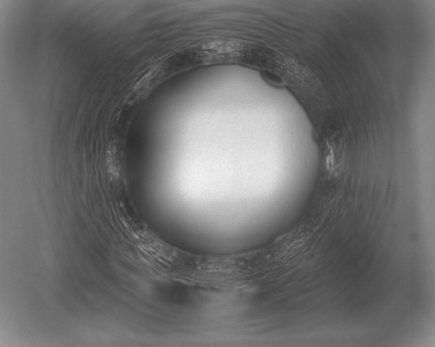 X0000052610819200507081844