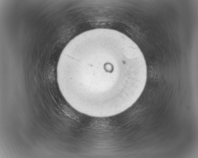 X0000052610820200507081844