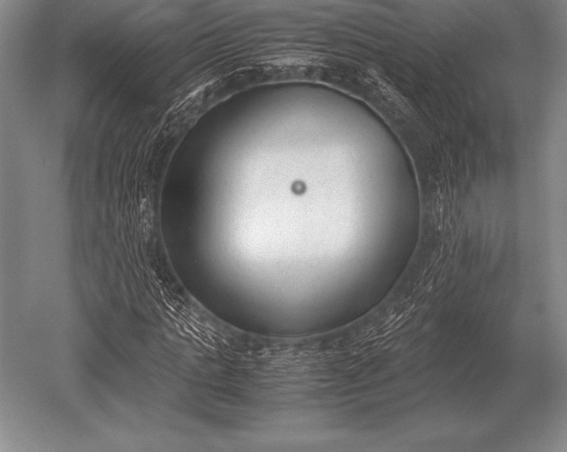 X0000052610821200507081844