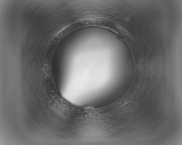 X0000052610822200507081844