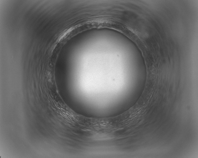 X0000052610823200507081844