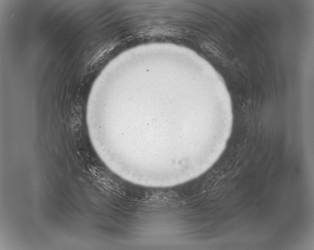 X0000052610824200507081844