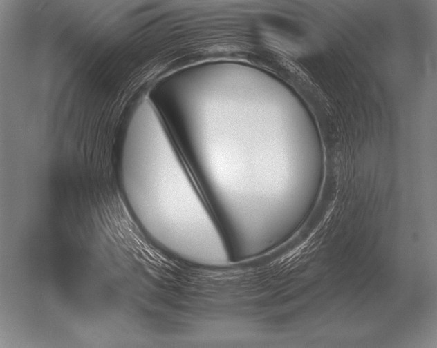 X0000052610825200507081844